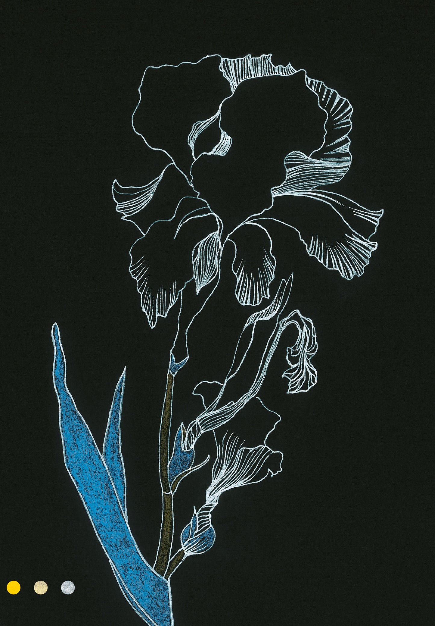 Giardini filosofici – lo spirito dei luoghi - Rossana Bossù