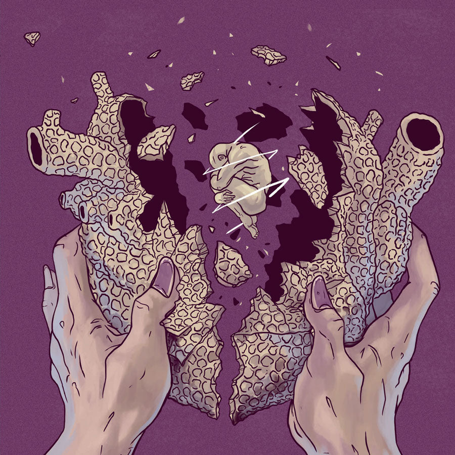 Everything Is Perfect - Elisa Palin