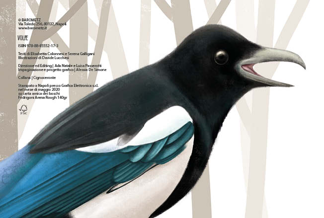Volpe - Elisabetta Colonnesi, Serena Galligani. Illustrazioni di Davide Lucchesi
