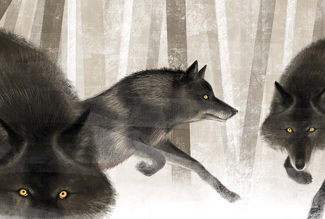 Volpe - Elisabetta Colonnesi, Serena Galligani. Illustrazioni di Davide Lucchesi