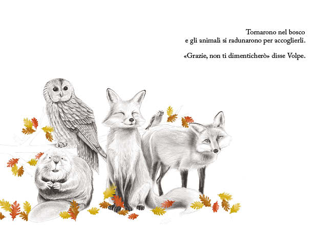 Volpe - Elisabetta Colonnesi, Serena Galligani. Illustrazioni di Davide Lucchesi